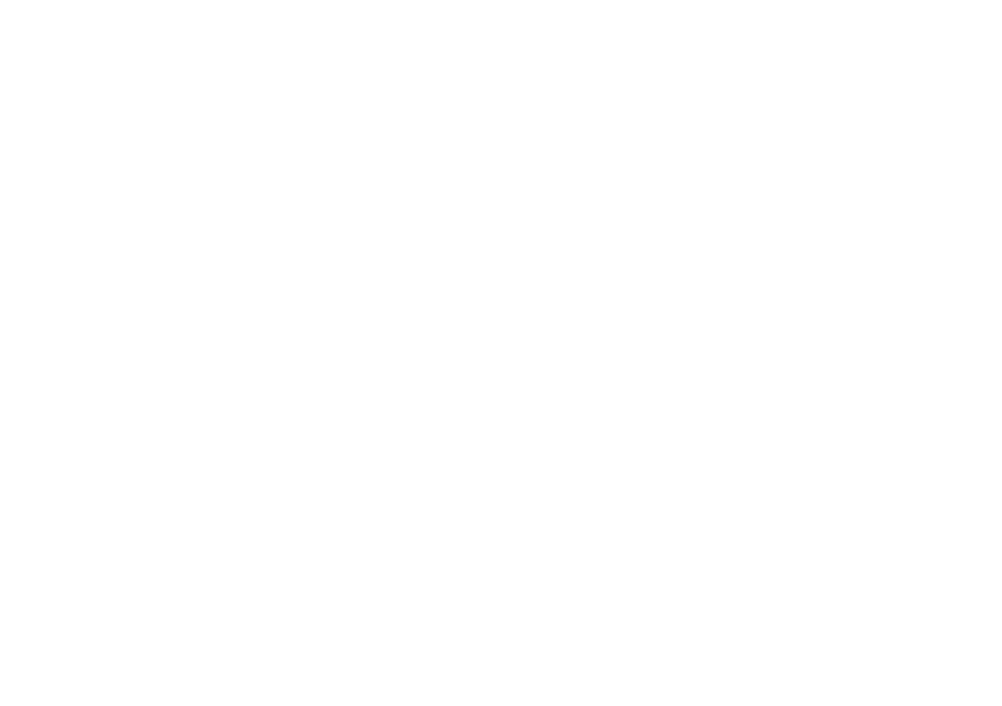 Celtic Irish Pub